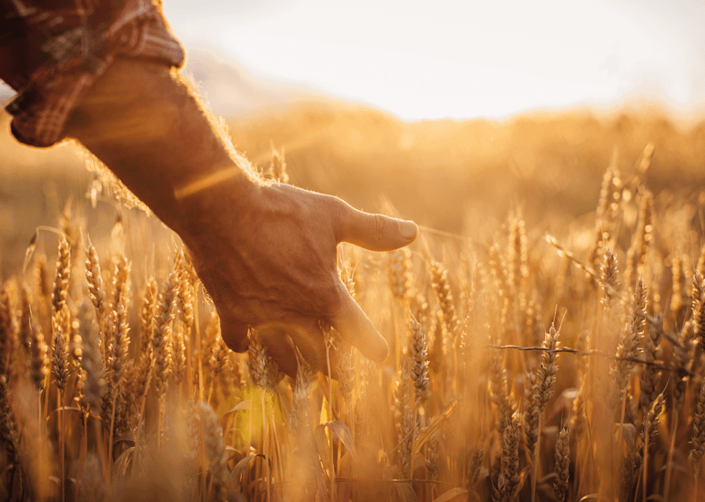 Climate change is lengthening growing seasons: How it's impacting every state