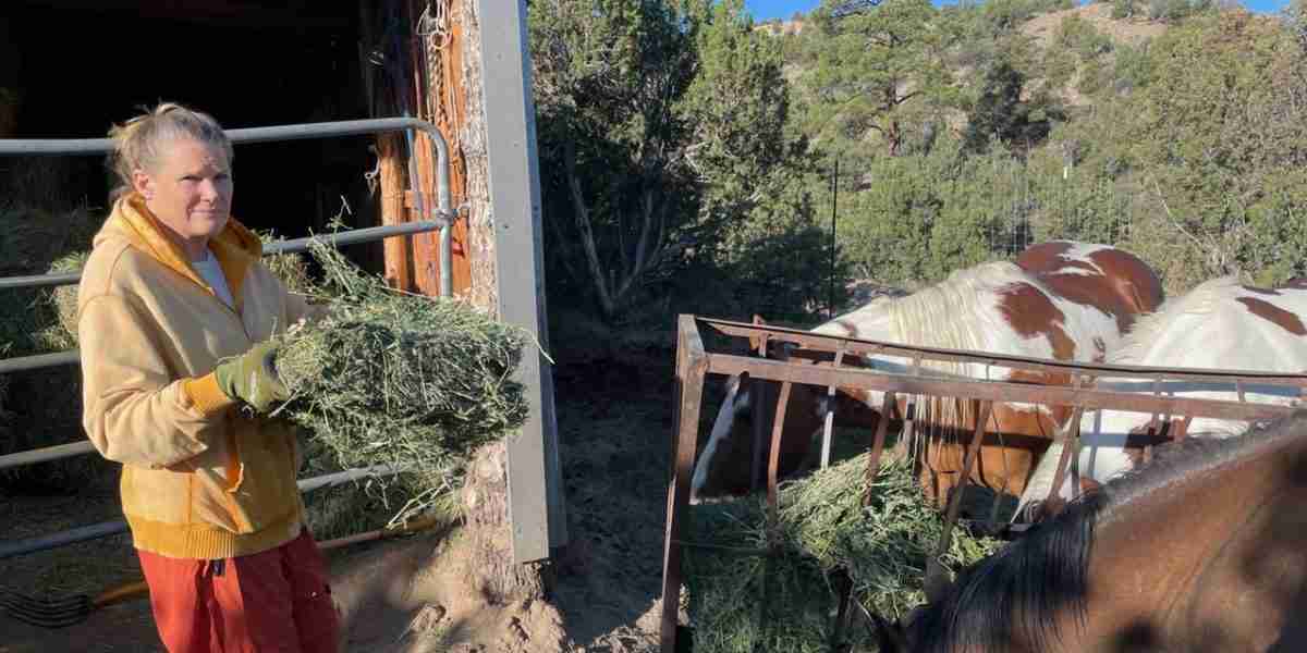 A Woman Who Built an Oasis in the New Mexico Desert