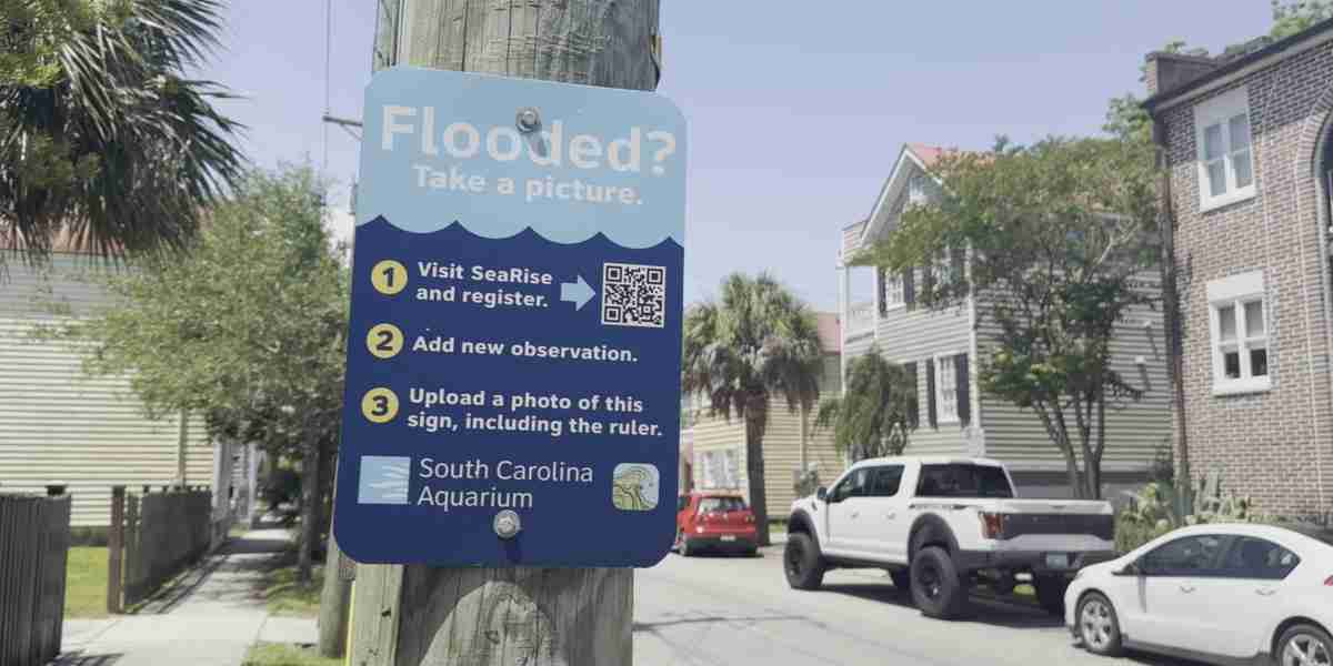 SeaRise project to fight against climate change