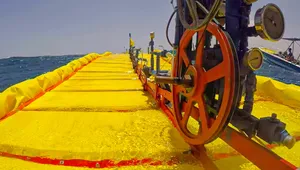 Bees that are trained to detect bombs