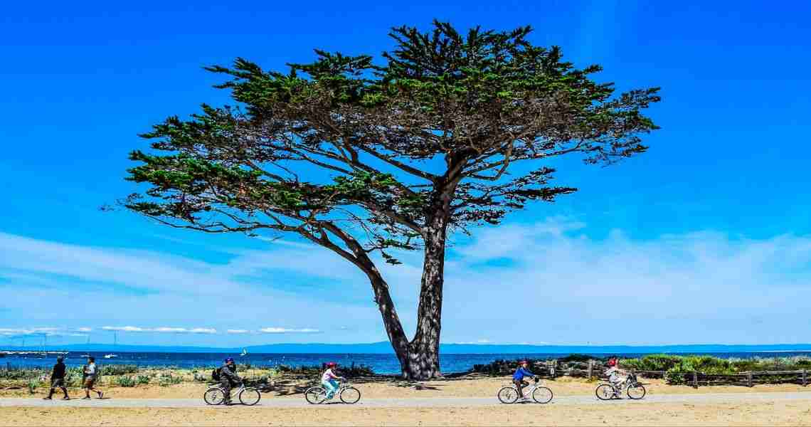 10 Beautiful Rail Trails That Are Perfect For Anyone With An E-Bike