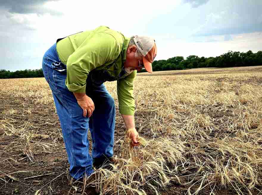 Crop insurance costs are rising, fueled by climate change. Yet little has changed in federal program