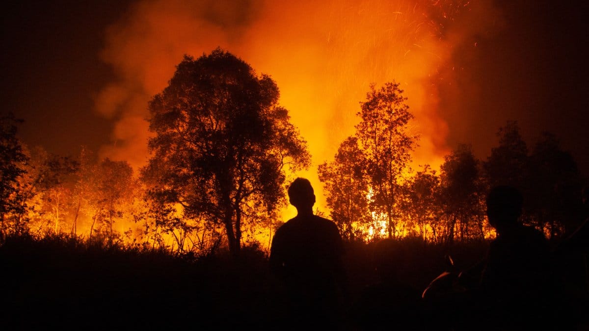 The climate crisis has a price — and it's $391 million a day