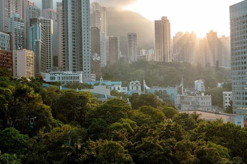 Why we should build cities that are kind to nature