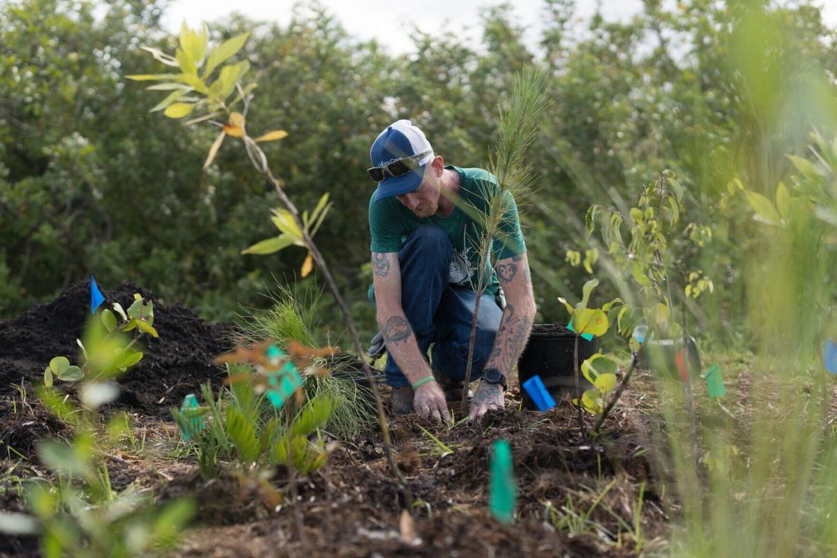 Eco-Friendly RV Parks and Manufactured Home Communities