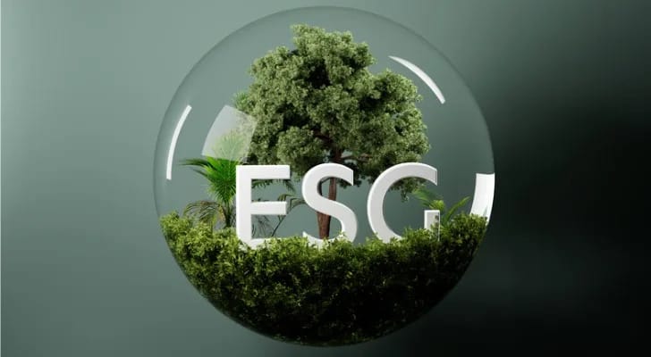 What to Know About the SEC's ESG Investing Rules