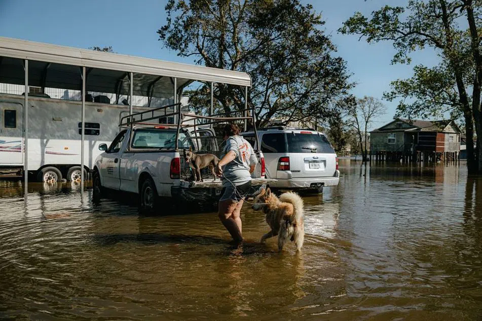 Deutsche Bank exec warns of growing climate risk