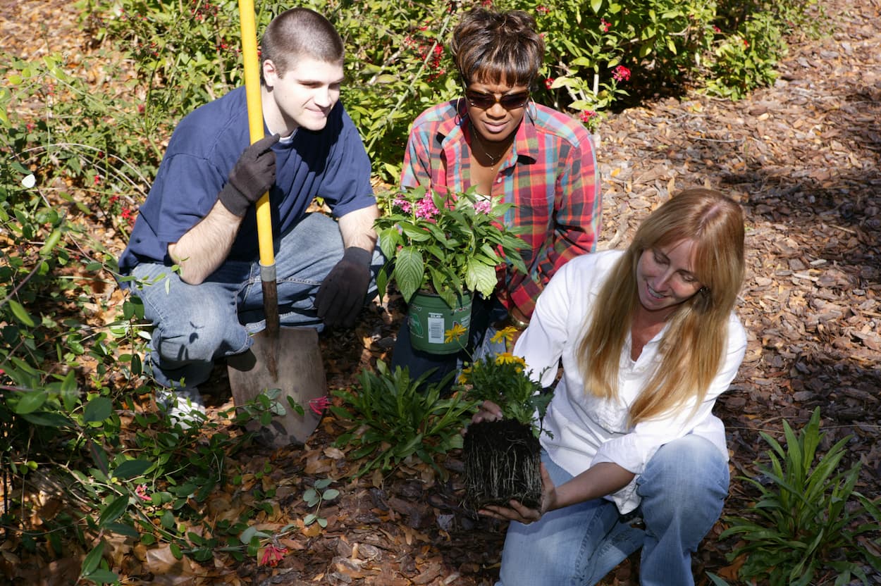 Orange County’s Sustainable Communities Grant Program: Creating Eco-Friendly Neighborhoods