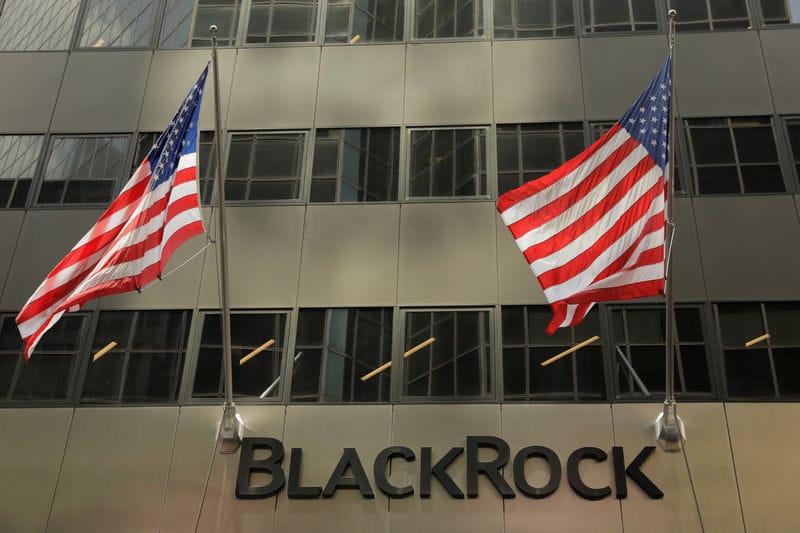 BlackRock introduces climate fund within $100bn transition investing platform