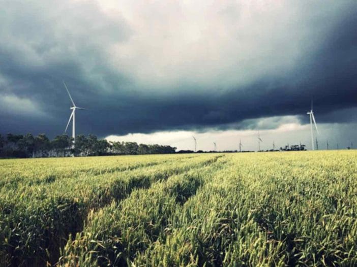 Australian scientists raise “serious concerns” over soil carbon offsets for fossil fuels