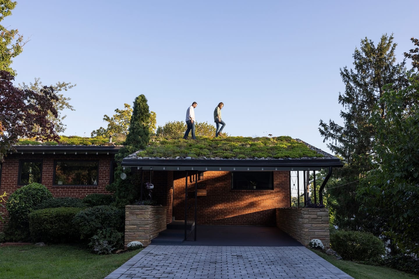Why this couple went all-in on a show-stopping ‘green roof’