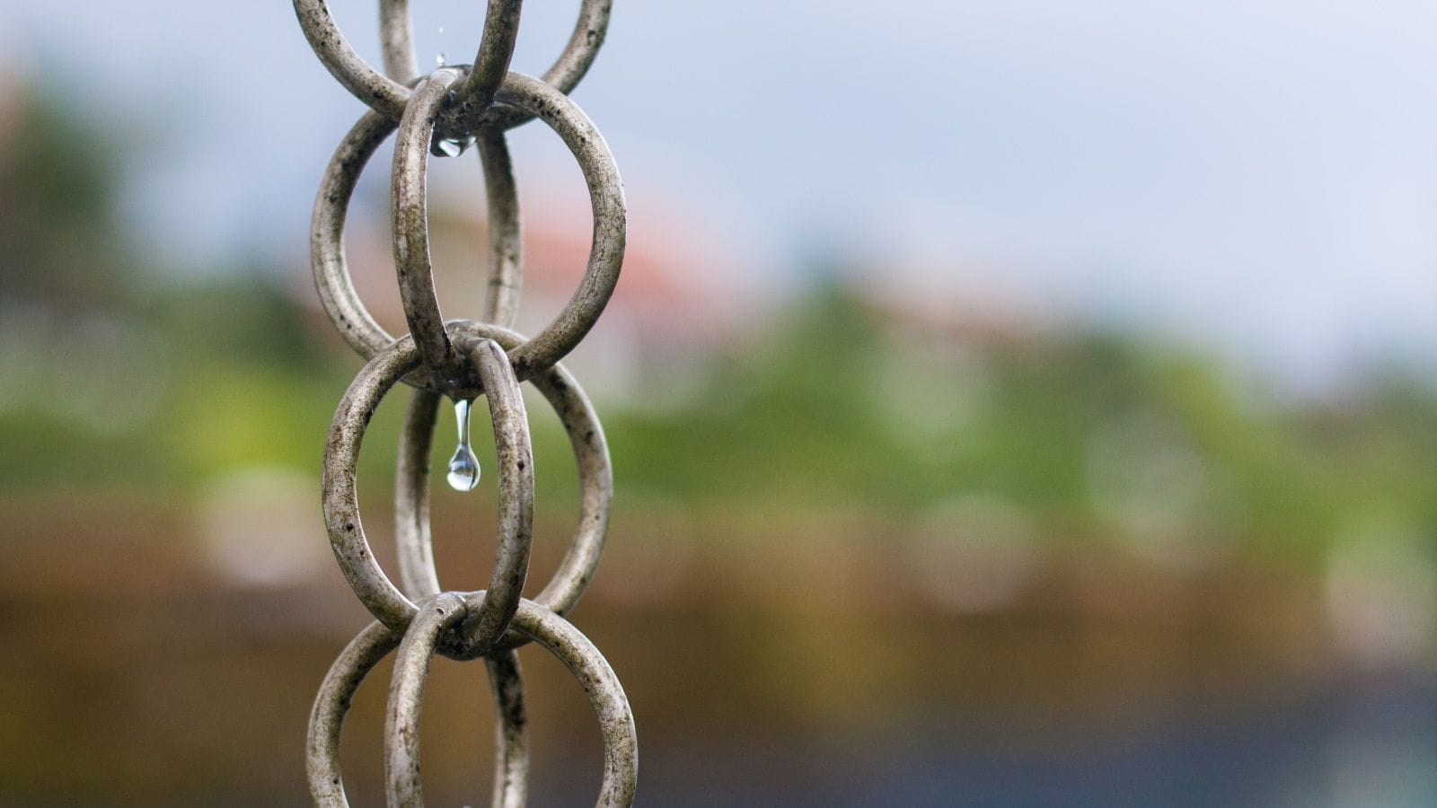 6 reasons to install a rain chain – this sustainable system will benefit your yard