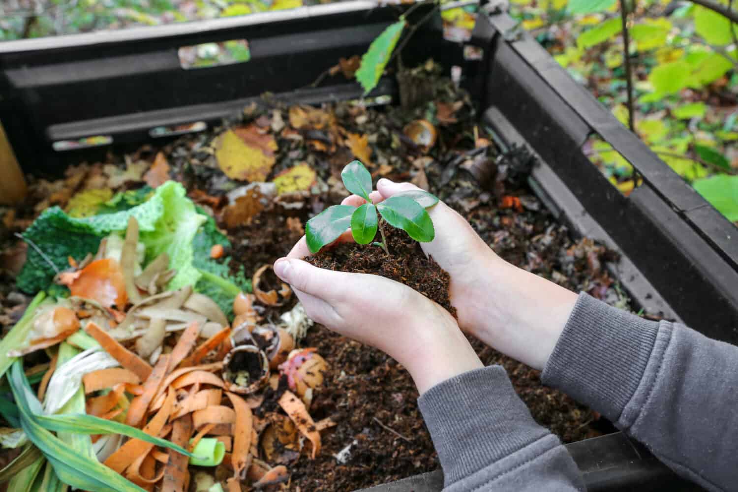 Discover 5 Unique Homemade Compost Solutions