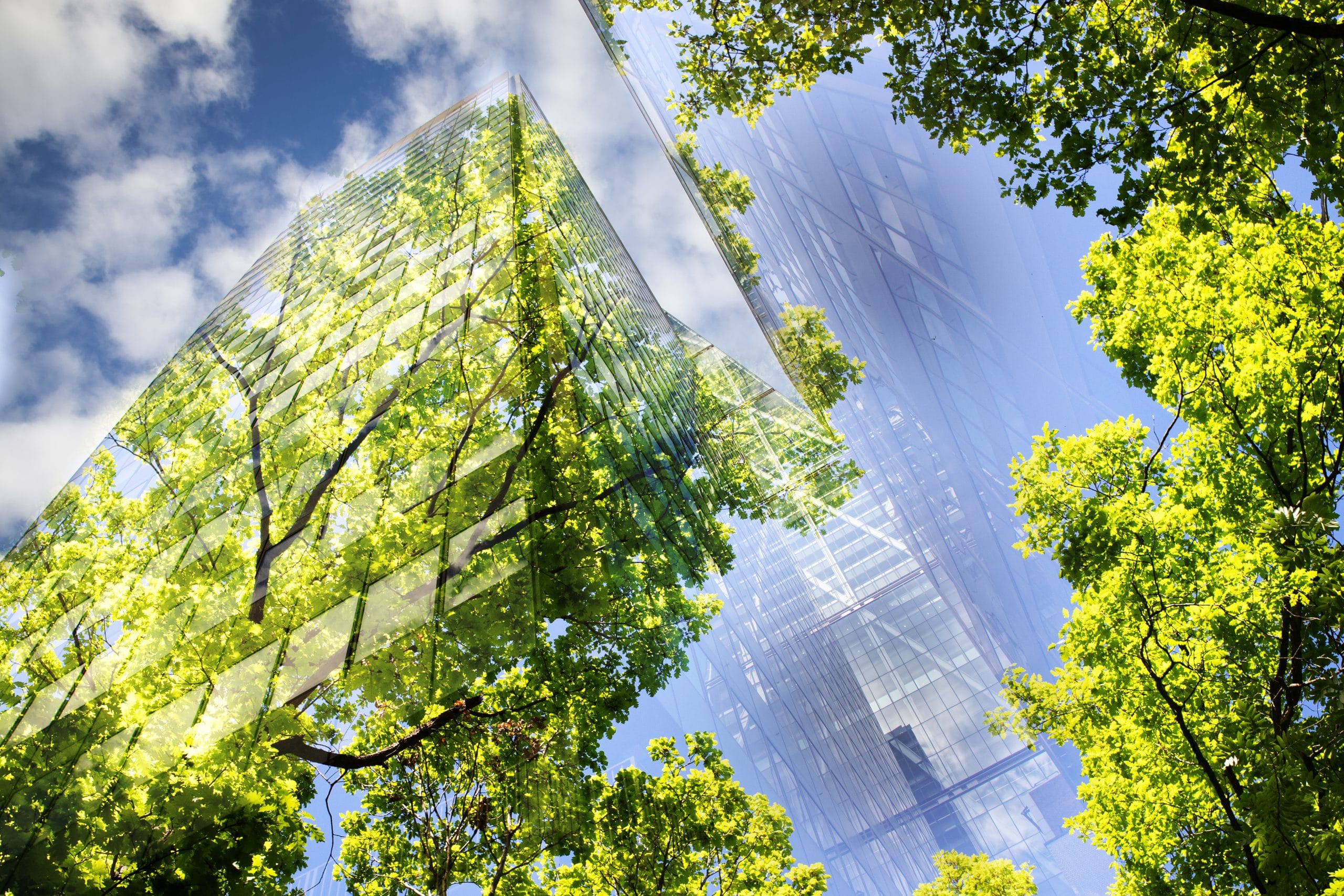 Eco-Friendly Buildings Will Be the New Norm for a Greener Tomorrow