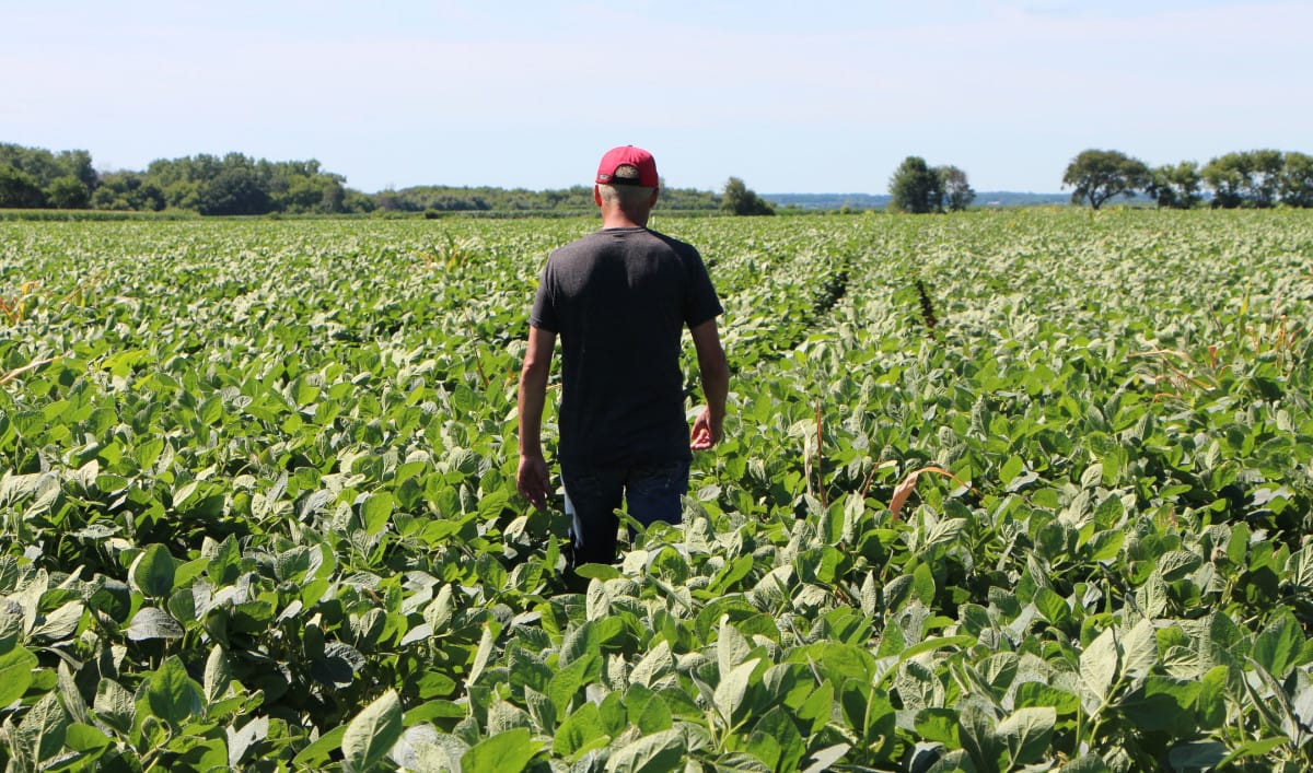 Are biofuels a climate bust?