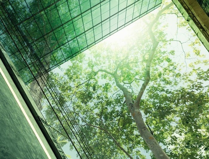 UN NetZero Facility Shakes Up Tourism Climate Action Financing