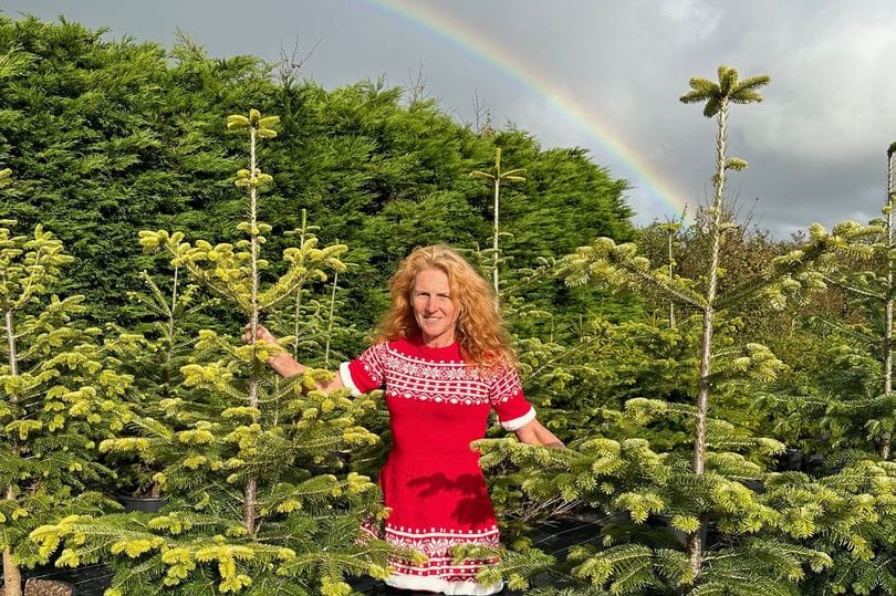 Cornwall woman branches out with eco-friendly Christmas tree rental service