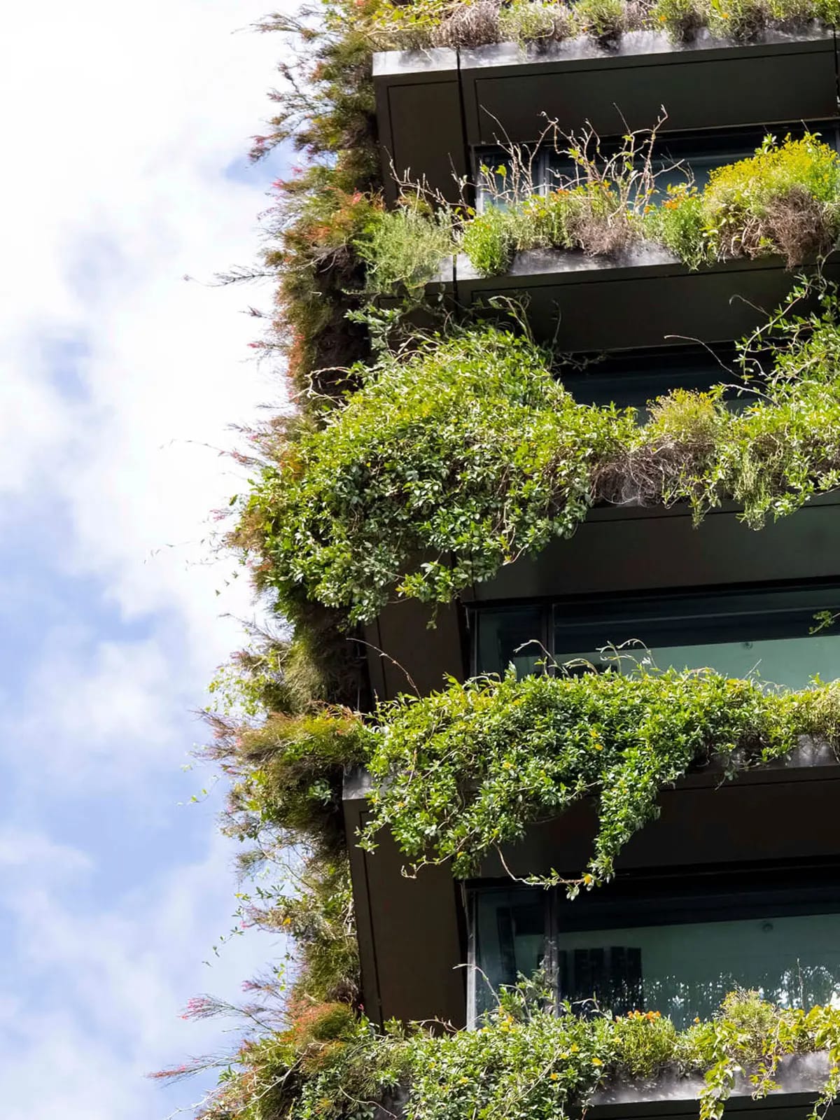 Forbes Names CBRE One of America’s Net-Zero Leaders