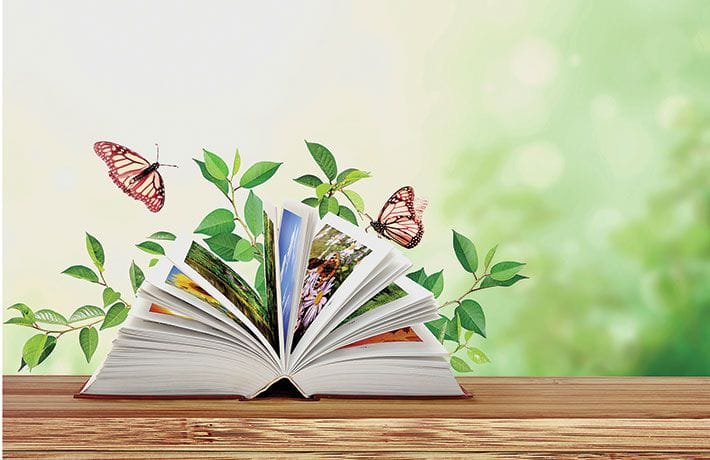 Is environmental education an effective medium?