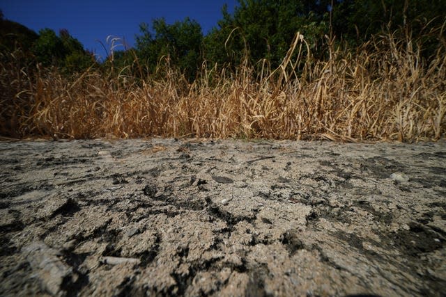 Climate change could unravel decades of progress in human health, says WMO