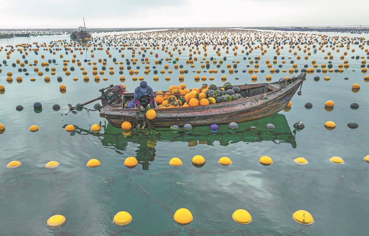 New ideas floated to curb carbon