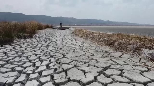Shrinking lake Titicaca rings climate alarm bell