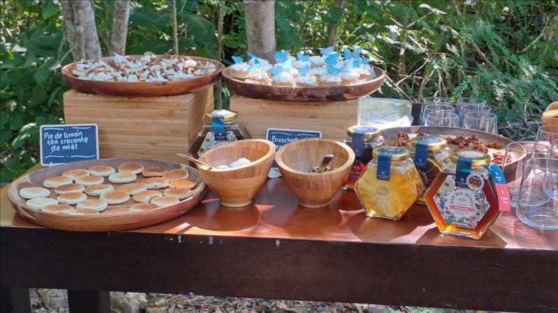 From Artificial Intelligence To Bees, 10 Success Stories That Provide Sustainability In Guanacaste And Its Communities