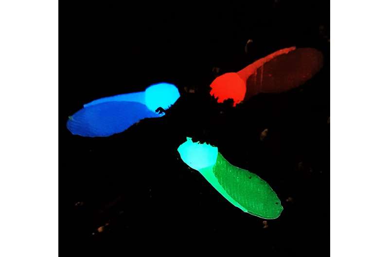The first eco-friendly fluorescent artificial seed for monitoring soil temperature by using drones