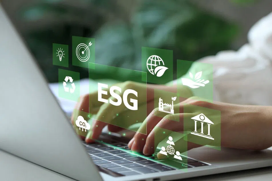 ESG is now mainstream despite US skepticism, say investors