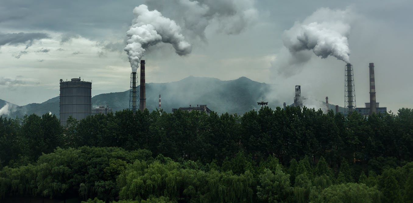 We’re burning too much fossil fuel to fix by planting trees – making ‘net zero’ emissions impossible with offsets