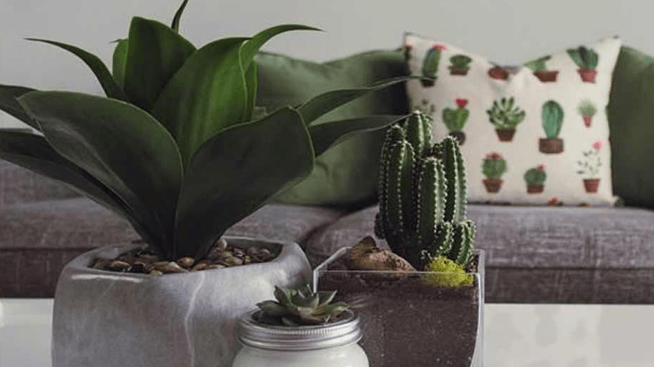 Green homes for a sustainable tomorrow