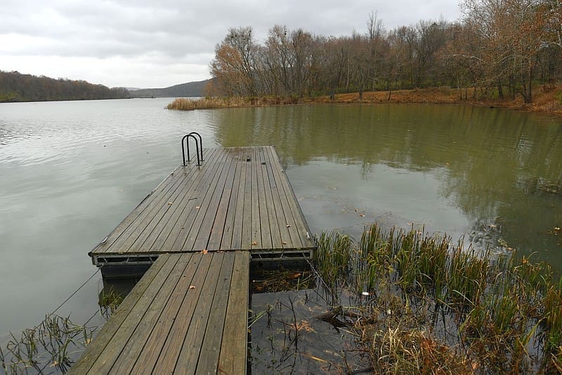 Fayetteville gets gold when it comes to environmental efforts, according to national nonprofit