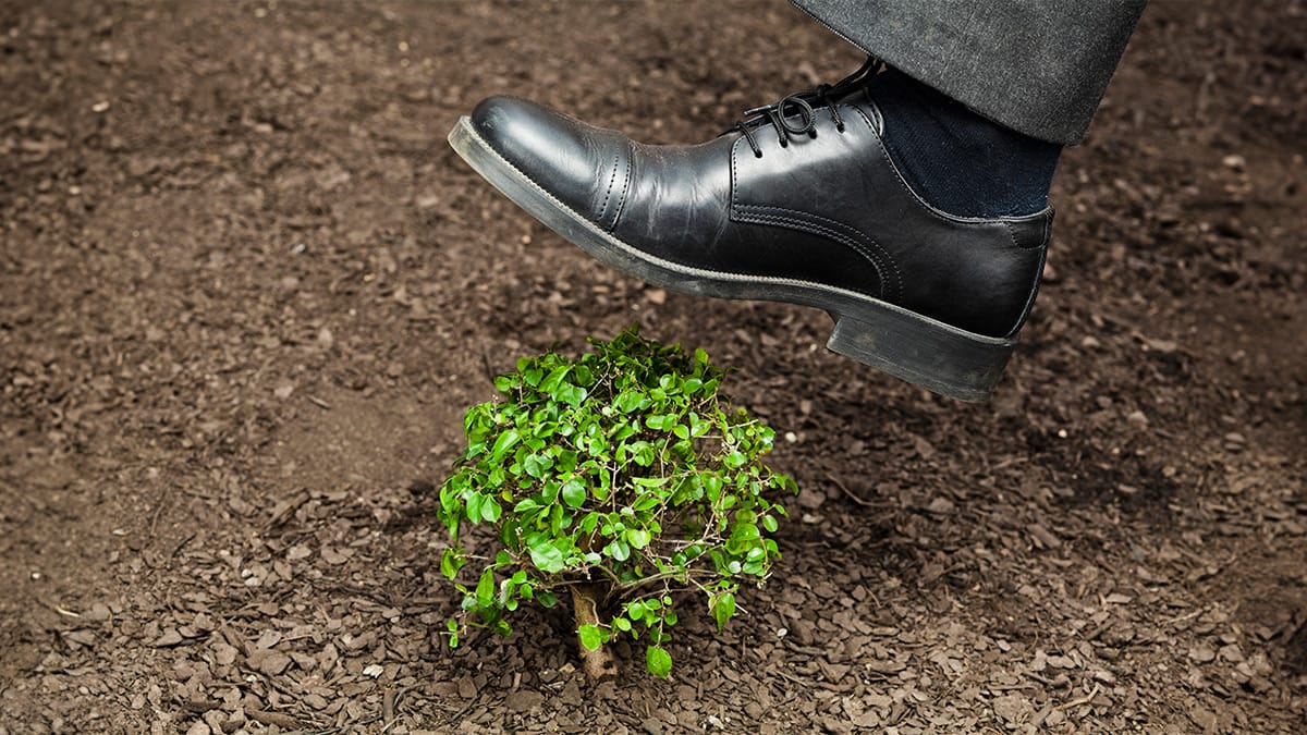ESG Is Under Attack. How Should Your Company Respond?