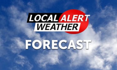 Recycling palm trees could cut methane emissions and create a green alternative to plywood