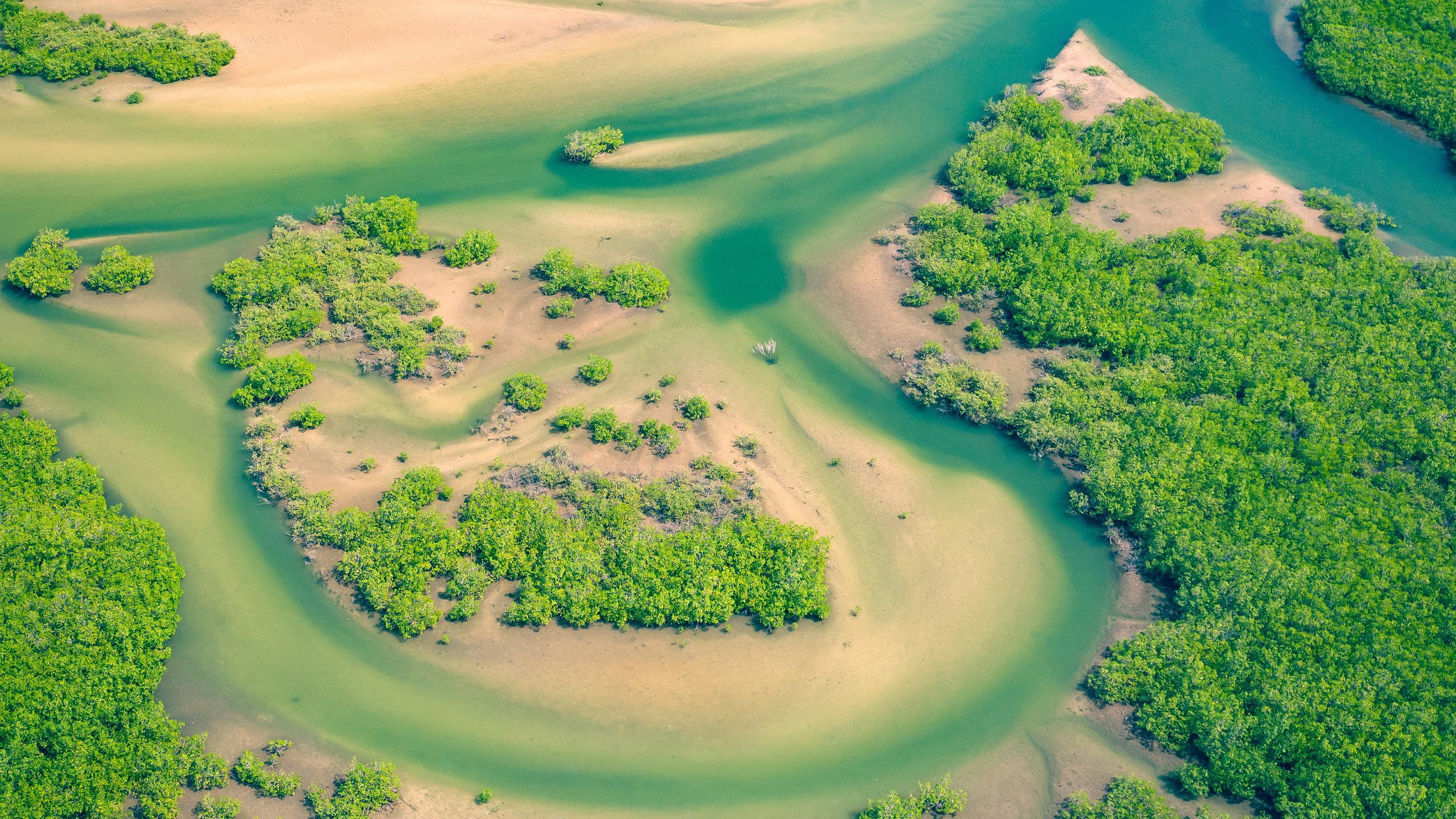 Opinion | The promise of nature-based infrastructure