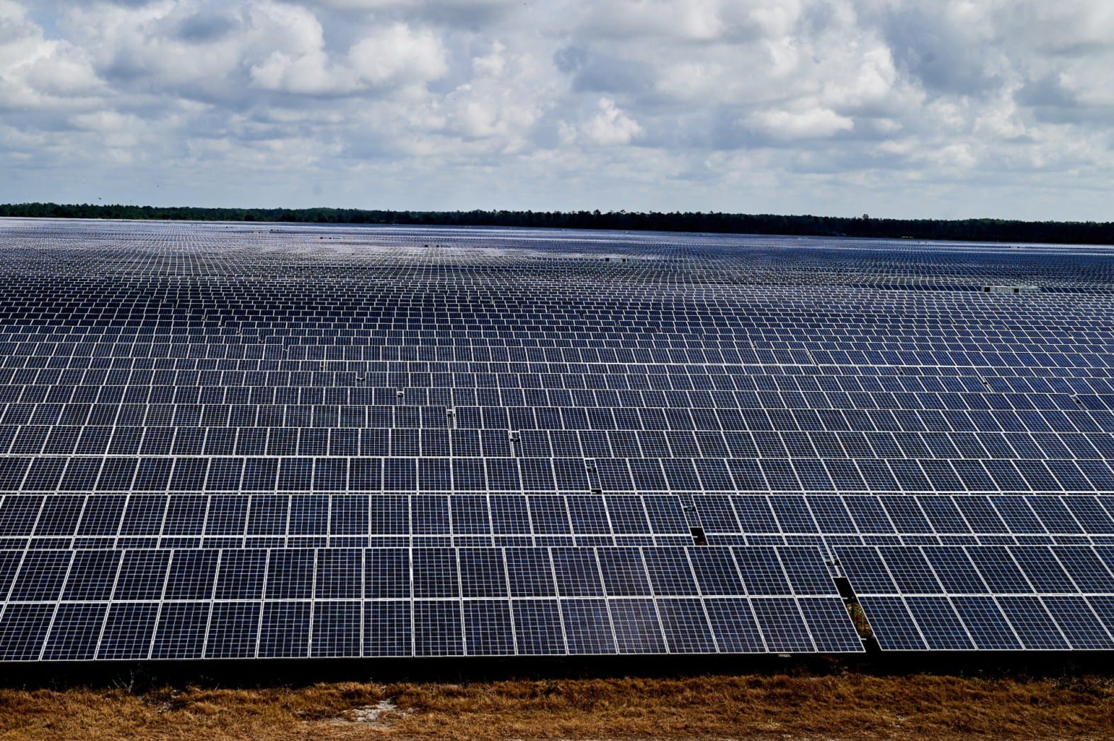 Commentary: Florida has taken a major leap in renewable energy but can do more
