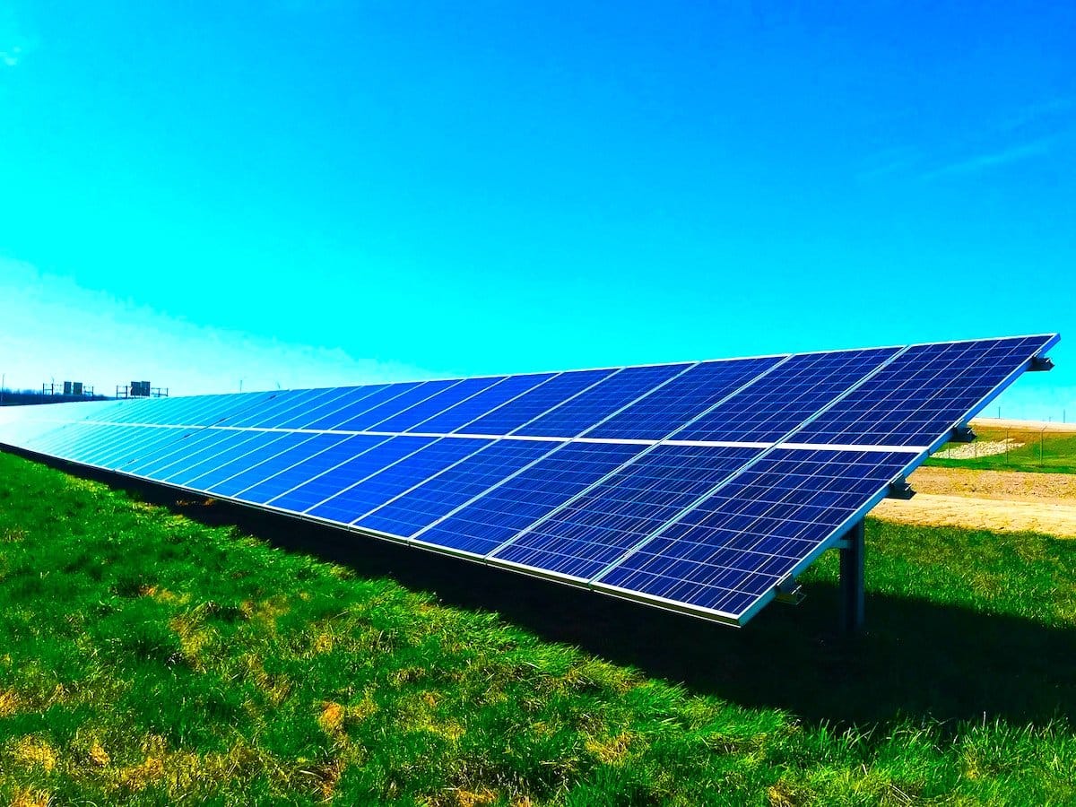 Scientists Build Organic Solar Cells Using Wood for Greener Solar Panels