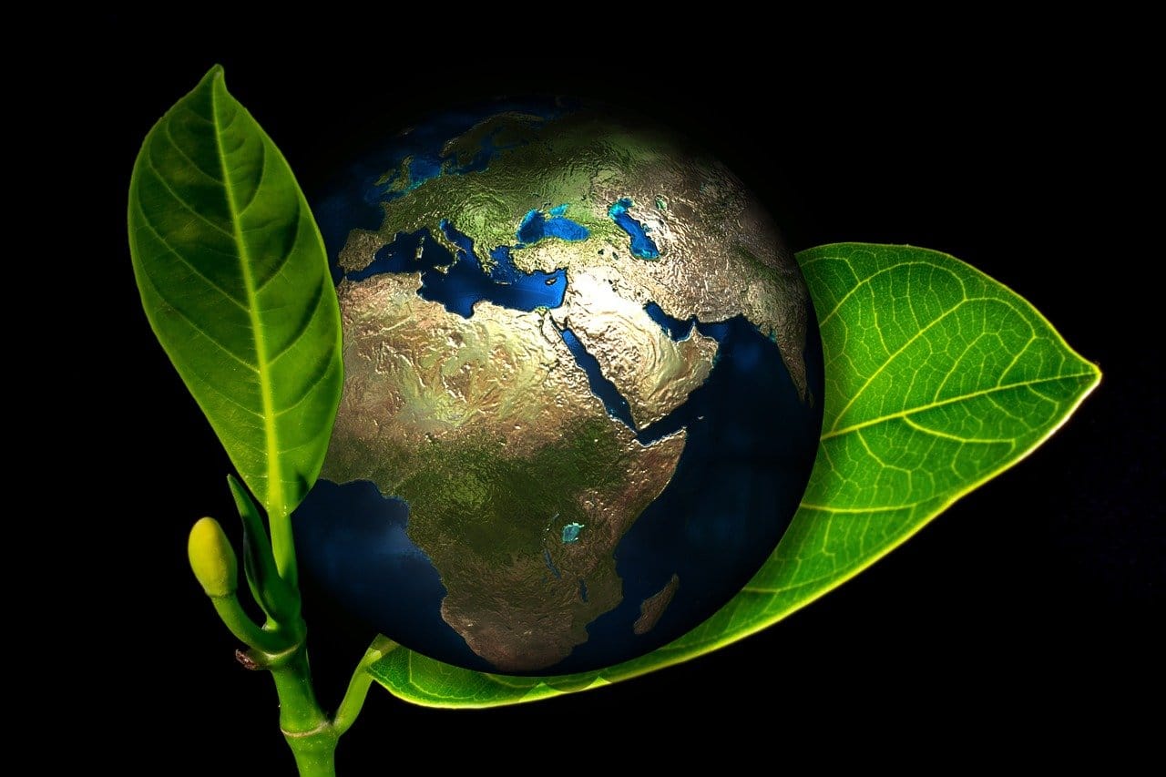 Why it’s crucial SMEs get ready for ESG reporting now