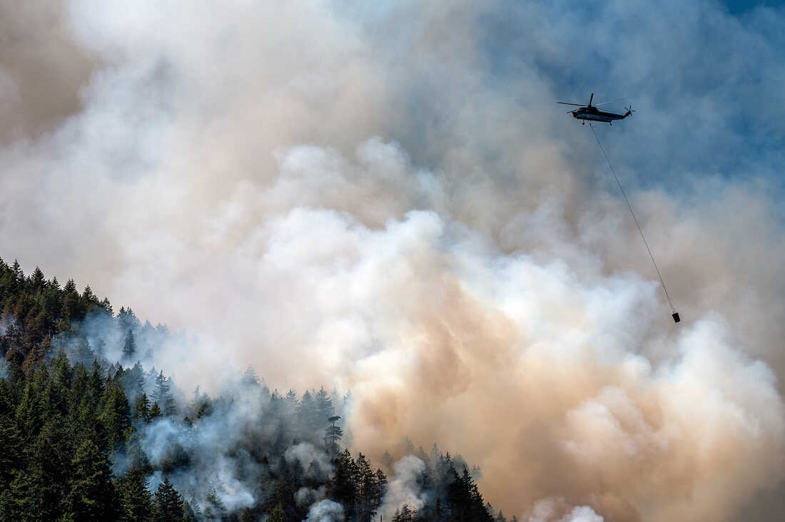 Wildfire smoke this year woke up places unaccustomed to its effects. Now what?