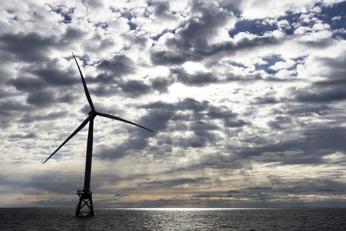 Contrary to politicians’ claims, offshore wind farms don’t kill whales. Here’s what to know.
