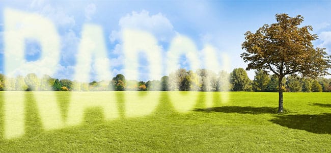 Managing Scope 2 Emissions: Burden or Opportunity?