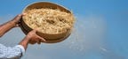What Does 2024 Hold In Store For Sustainability Private Equity?