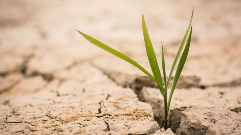 Six predictions for ESG in 2024: The year ESG emerged from fad to essential business