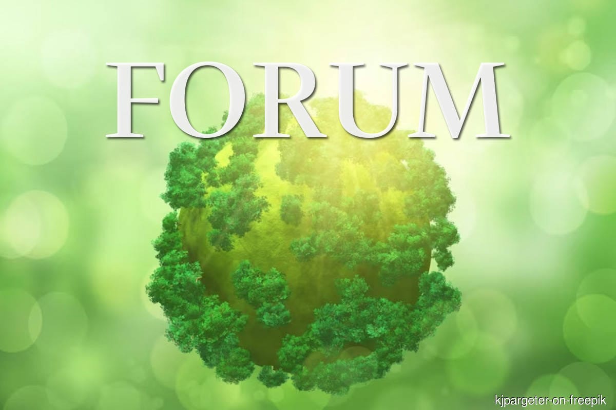 My Say: ESG: The case for tailored environmental laws
