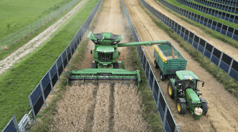 Solar Panels Meet Saffron In New Agrivoltaic Project