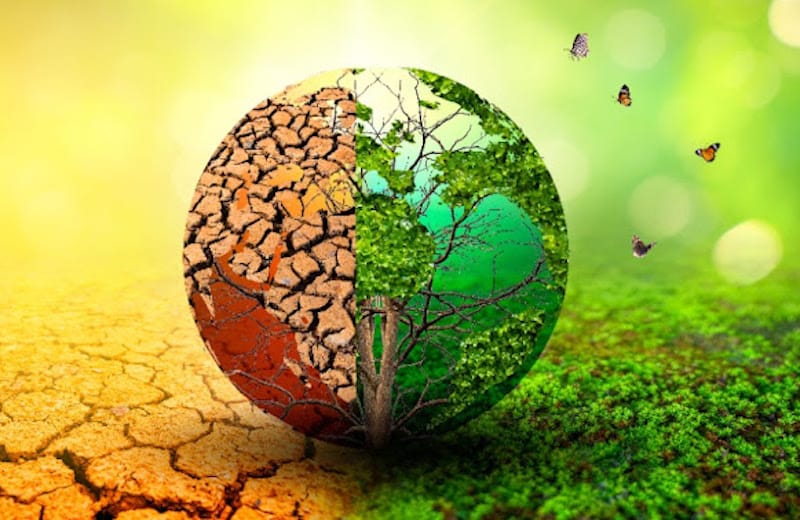 Climate Change in 2024