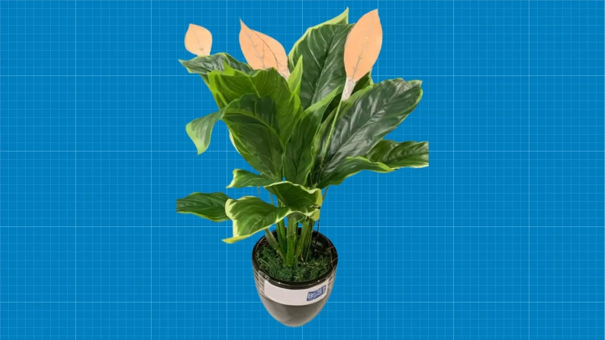 These tiny 'power plants' use the wind and rain to generate electricity