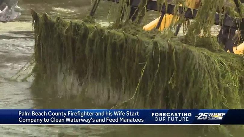 Forecasting our Future: Cleaning Florida's waterways and feeding manatees