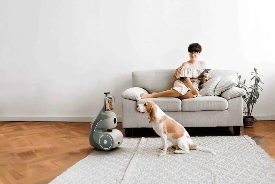 Robots for Your Pets—and More Questionably Useful Smart Home Tech From CES 2024