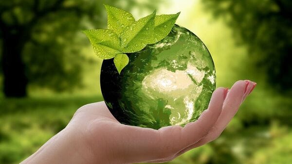 Top 10 sustainability trends to watch out for in 2024